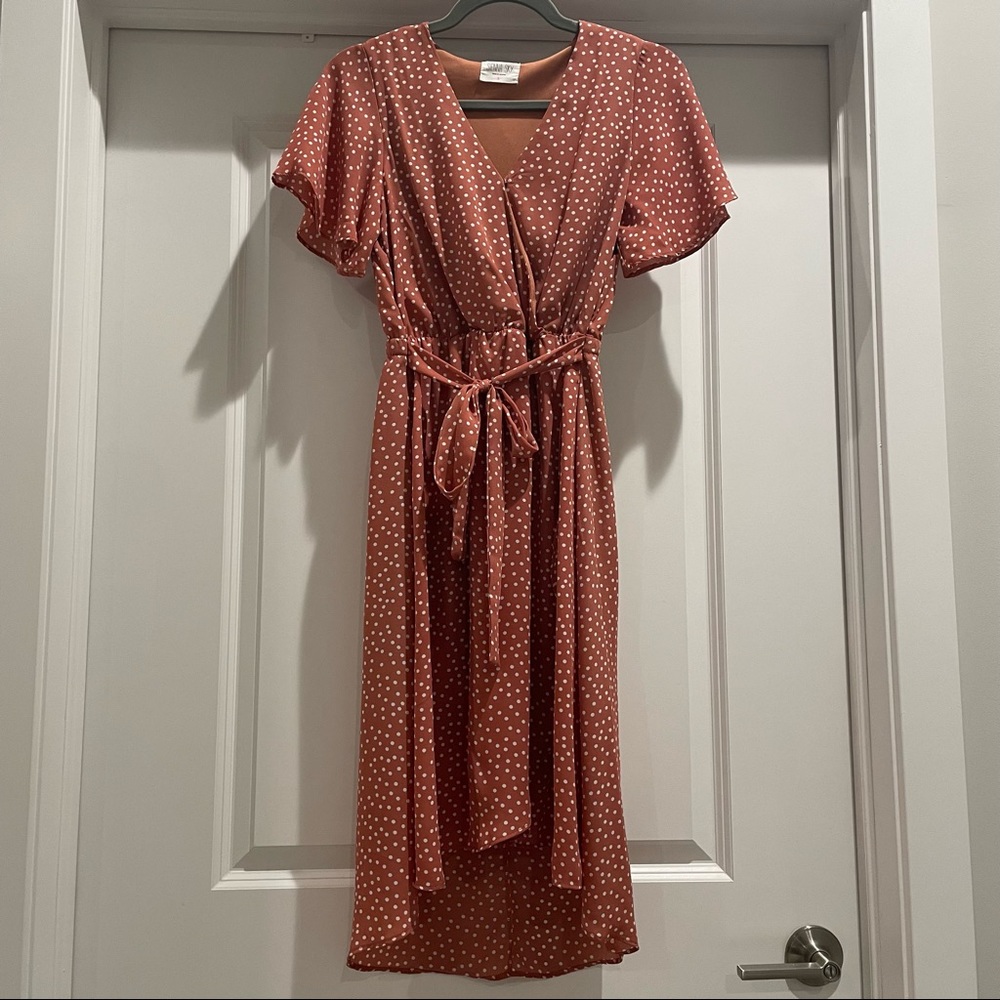 Sienna Sky Pink Polka Dot Dress: Small